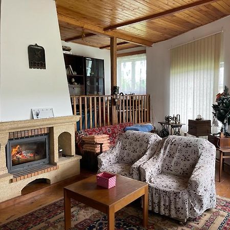 Casa Adelina Villa Valea Lunga-Cricov Luaran gambar