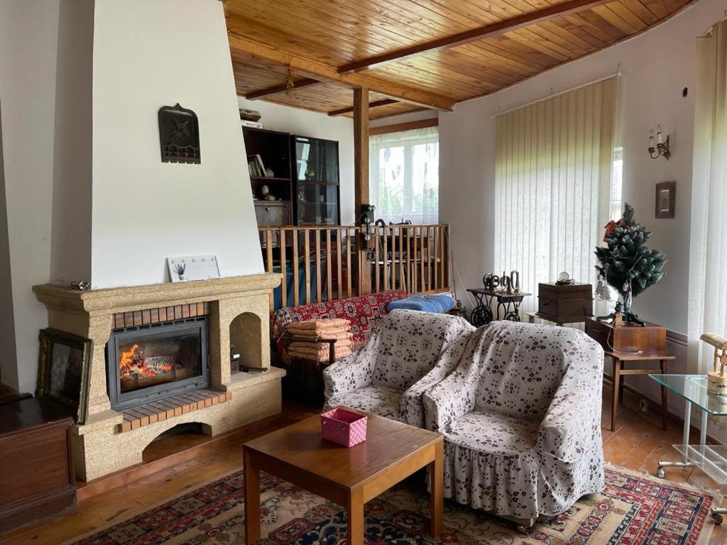 Casa Adelina Villa Valea Lunga-Cricov Luaran gambar