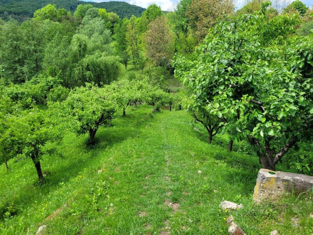 Casa Adelina Villa Valea Lunga-Cricov Luaran gambar