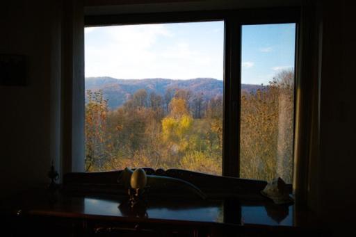 Casa Adelina Villa Valea Lunga-Cricov Luaran gambar