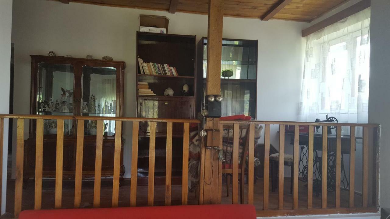 Casa Adelina Villa Valea Lunga-Cricov Luaran gambar