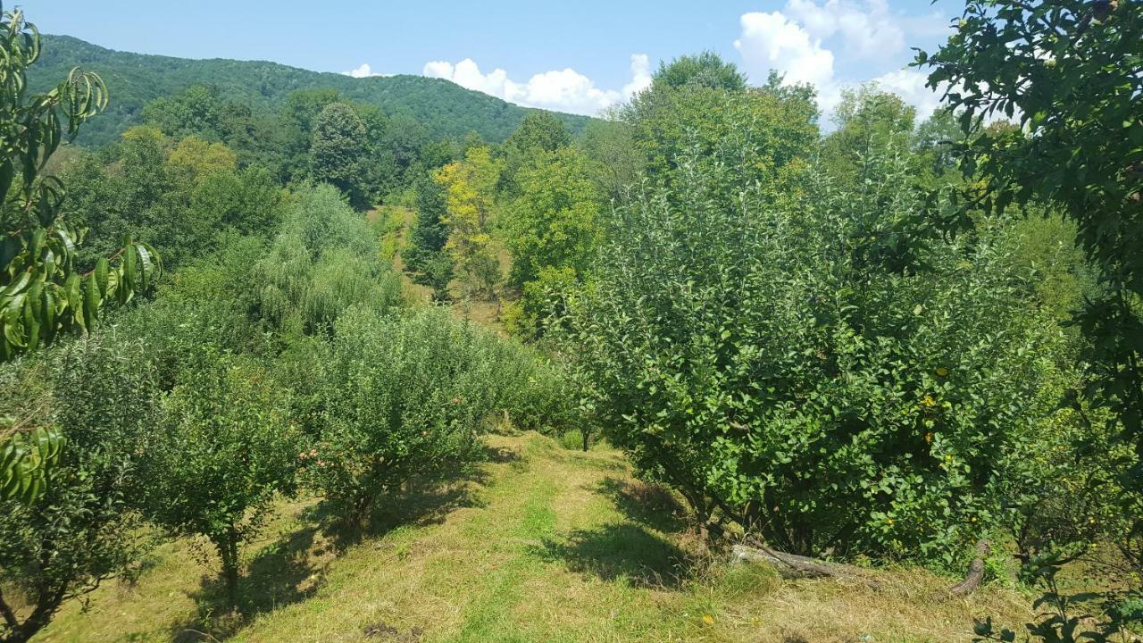 Casa Adelina Villa Valea Lunga-Cricov Luaran gambar