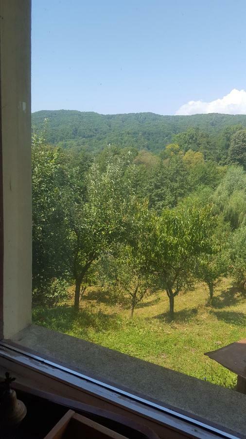 Casa Adelina Villa Valea Lunga-Cricov Luaran gambar
